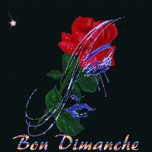 Gif animé Bon dimanche glamour